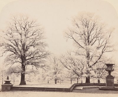 Rimfrost, en parkscen, 1862. av Earl of Caithness James Sinclair