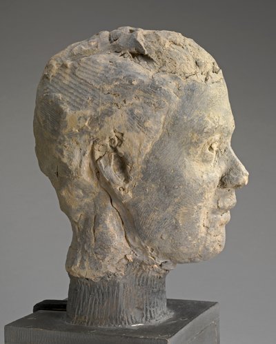 Head, Study for a Portrait of Mme Salle, c.1892 (lera, metallarmatur, på träbas) av Edgar Degas