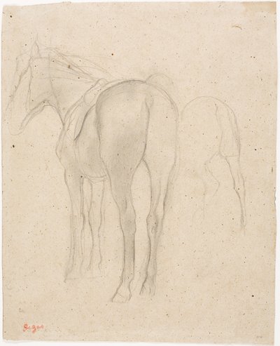 Studier av en häst av Edgar Degas