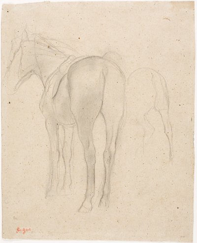 Studier av en häst av Edgar Degas