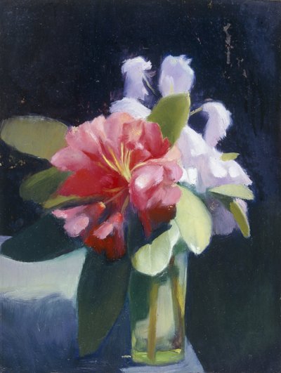 Rhododendron av Edgar Herbert Thomas