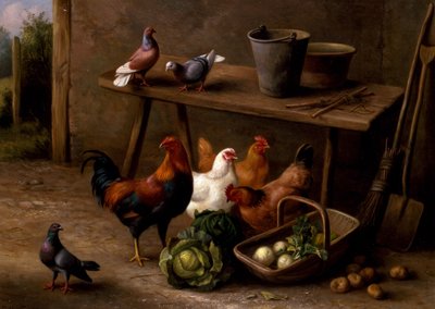 Kycklingar, duvor och duvor av Edgar Hunt