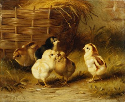 Kycklingar i en korg av Edgar Hunt