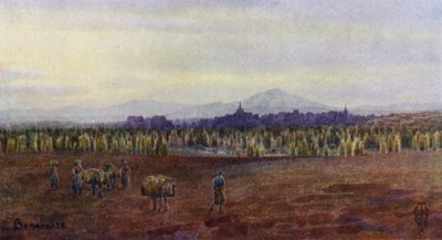 Norra Spanien: Benavente, från ovan bron Castro Gonzalo (färg litho) av Edgar T. A. Wigram