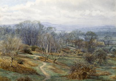 Hampstead Heath ser mot Harrow on the Hill, ca 1880 (wc på papper) av Edith Martineau