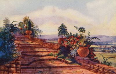 The Steps at Government House, Pretoria (färg litho) av Edith Struben