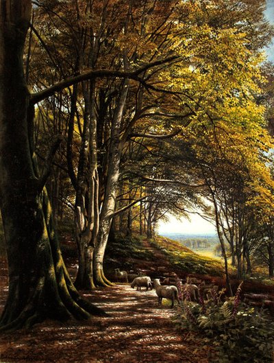 Får som betar i en skogsglänta (akvarell & kroppsfärg på papper) av Edmund George Warren