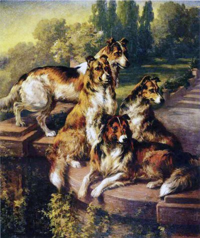Collies av Edmund Henry Osthaus
