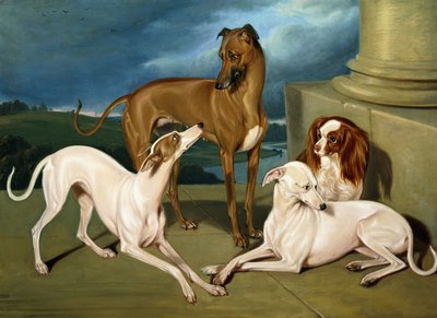 Whippets och en King Spaniel, 1837 av Edmund Jr Havell