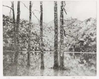 Toki-Noko, 1992 av Edouard Cremieux