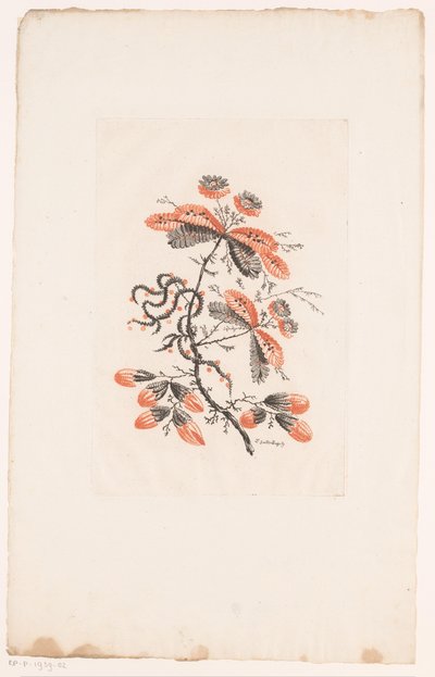 Blommor och knoppar Fleurs Idealle (serietitel) av Edouard Gautier Dagoty