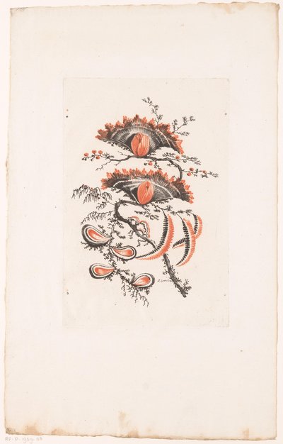Solfjäderformade blommor Fleurs Idealle (serietitel) av Edouard Gautier Dagoty