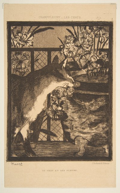 Katt och blommor. Illustration till katterna av Champfleury, 1869. av Édouard Manet