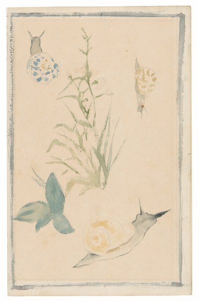 Skisser av sniglar, blommande växt av Édouard Manet