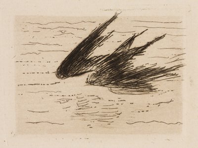 Svalor, plansch 8 från Le Fleuve av Édouard Manet