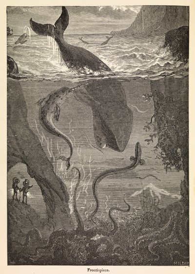 Frontispice av Jules Vernes "Tjugotusen Leagues Under The Sea", ca 1870 (tryck) av Edouard & Neuville Alphonse-Marie-Adolphe de (1835-85) Riou
