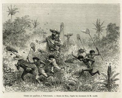 Ett gäng barn jagade efter fjärilar, tillsammans med författaren, en Villavicensio (Colombia), teckning av Riou, för att illustrera historien om Equinoxiale America (Colombia, Ecuador, Peru), 1875-1876, av Ed. andre, resenär som ansvarar för uppdraget av F av Edouard Riou
