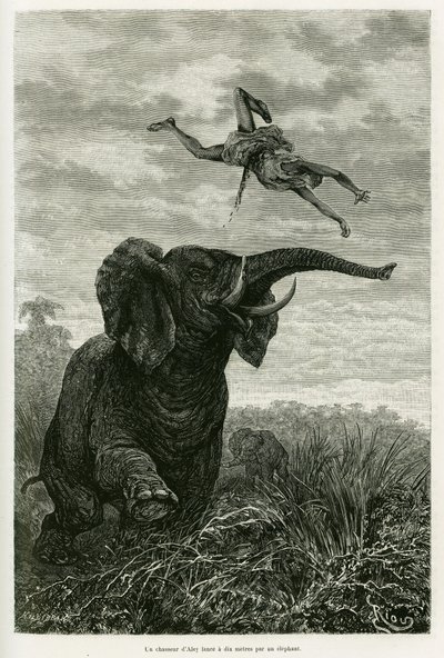Aleys jägare kastar en mil från en elefant. Gravyr av Riou för att illustrera historien Les lacs de l