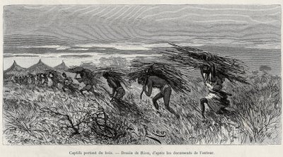 Fångar som bär ved i busken. Gravyr av Riou, för att illustrera berättelsen "" Från Niger till Guineebukten", av kapten Louis Gustave Binger (1856-1936), 1887-1889, i Le tour du monde, nouveau journal des voyages, under ledning av Edouar av Edouard Riou