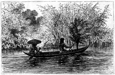 Dugout i Essequibo River, Guyana, 1800-talet av Edouard Riou