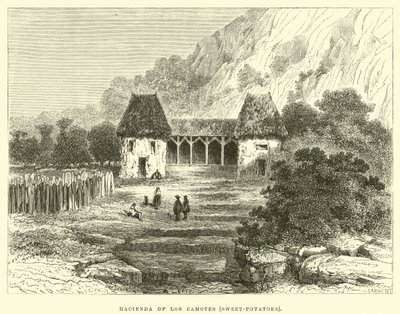 Hacienda av Los Camotes, sötpotatis av Edouard Riou