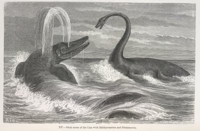 "Ideal scen för lias med Ichthyosaurus och Plesiosaurus" av Edouard Riou