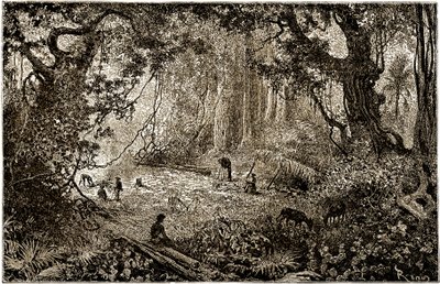 Installation av ett läger för upptäcktsresande i Guatemala (1882) av Edouard Riou