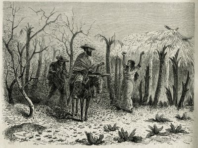 The Clouds of Grasshoppers of the Vallee du Upper Patia, med på sin mula resans berättare, graverad av Riou, för att illustrera historien L