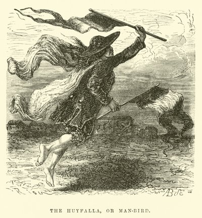 Huyfalla, eller man-fågel av Edouard Riou
