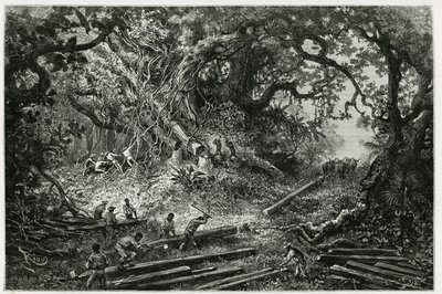 Exploateringen av mahogny i skogarna i Anderna. Gravyr av Riou, för att illustrera berättelsen "" Resan till Yucatan och Lacandons land "", 1882, av Desire Charnay (1828-1915) arkeolog och fotograf. Publicerad i Tour du monde nou av Edouard Riou
