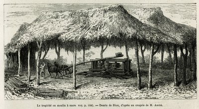 Trapichen, eller sockerkvarnen för att mala käpparna i Panche (Colombia), teckning av Riou, för att illustrera historien om Equinoxiale America (Colombia, Ecuador, Peru), 1875-1876, av Ed. andre, resemissionsavgift av den franska regeringen. Gravyr i Le t av Edouard Riou