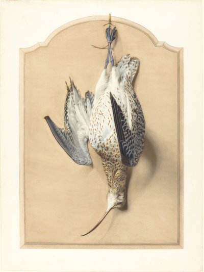 Trompe lOeil: A Curlew Hanging from a Nail av Edouard Travies