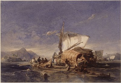 Båtar med svarta afrikaner i Guanabarabukten (Rio de Janeiro) av Eduard Hildebrandt