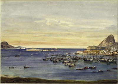 Rio de Janeiros bukt av Eduard Hildebrandt