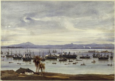 Utsikt över Rio de Janeiro av Eduard Hildebrandt