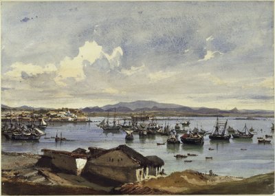 Utsikt över Rio de Janeiro av Eduard Hildebrandt