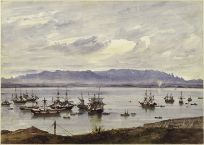 Panorama över Rio de Janeiro av Eduard Hildebrandt