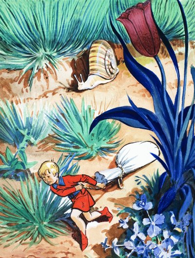 Berättelsen om Tom Thumb av Eduardo Teixeira Coelho