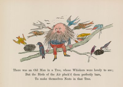 Det fanns en gammal man i ett träd, vars morrhår var vackra att se (färggravyr) av Edward (after) Lear