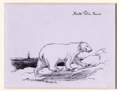 Isbjörn, ca 1905 (bläck på papper) av Edward Adrian Wilson