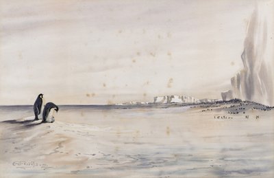 The Emperor Penguin Rookery, Cape Crozier av Edward Adrian Wilson