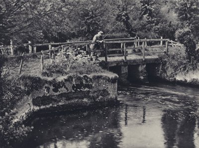 Vid Burcombe på Nadder (svartvitt foto) av Edward Alfred Barton