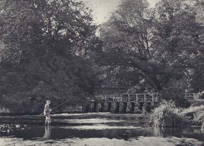 Fjorton luckor på Nadder (svartvitt foto) av Edward Alfred Barton