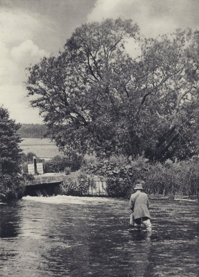 På floden Itchen nedanför Winchester (svartvitt foto) av Edward Alfred Barton