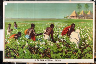 A Sudan Cotton Field, från serien 