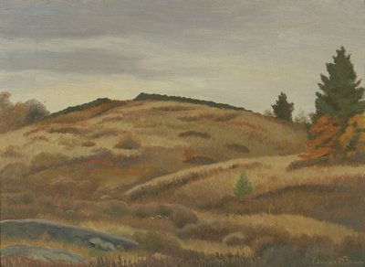 Autumn Fields, ca. 1926-1934. av Edward Bruce