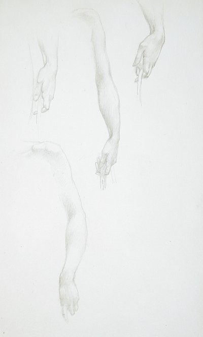Studier av armar och händer (framsidan); Studie av kvinnlig torso (baksidan) av Edward Burne-Jones