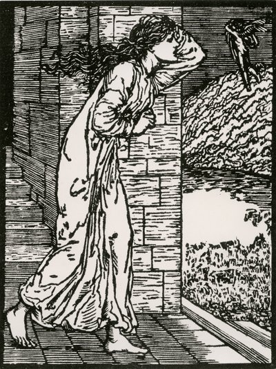 Psyche rusar ut från Palace av Edward Coley (after) Burne Jones