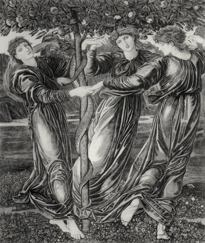 Hesperides trädgård av Edward Coley (after) Burne Jones