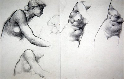 Förlåtelsens träd - Studie för figuren Phyllis, c.1882 (penna på papper) av Edward Coley Burne Jones